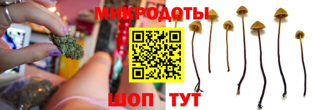 Красногорск  Псилоцибиновые грибы мицелий  Галлюциногенные грибы MAGIC MUSHROOMS  Вход с VPN 