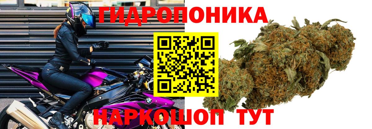 МАРИХУАНА конопля  Бошки Шишки марихуана  Вход с VPN  Красногорск 